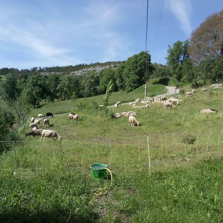Les Logis De Lucie Διαμέρισμα Selonnet Εξωτερικό φωτογραφία